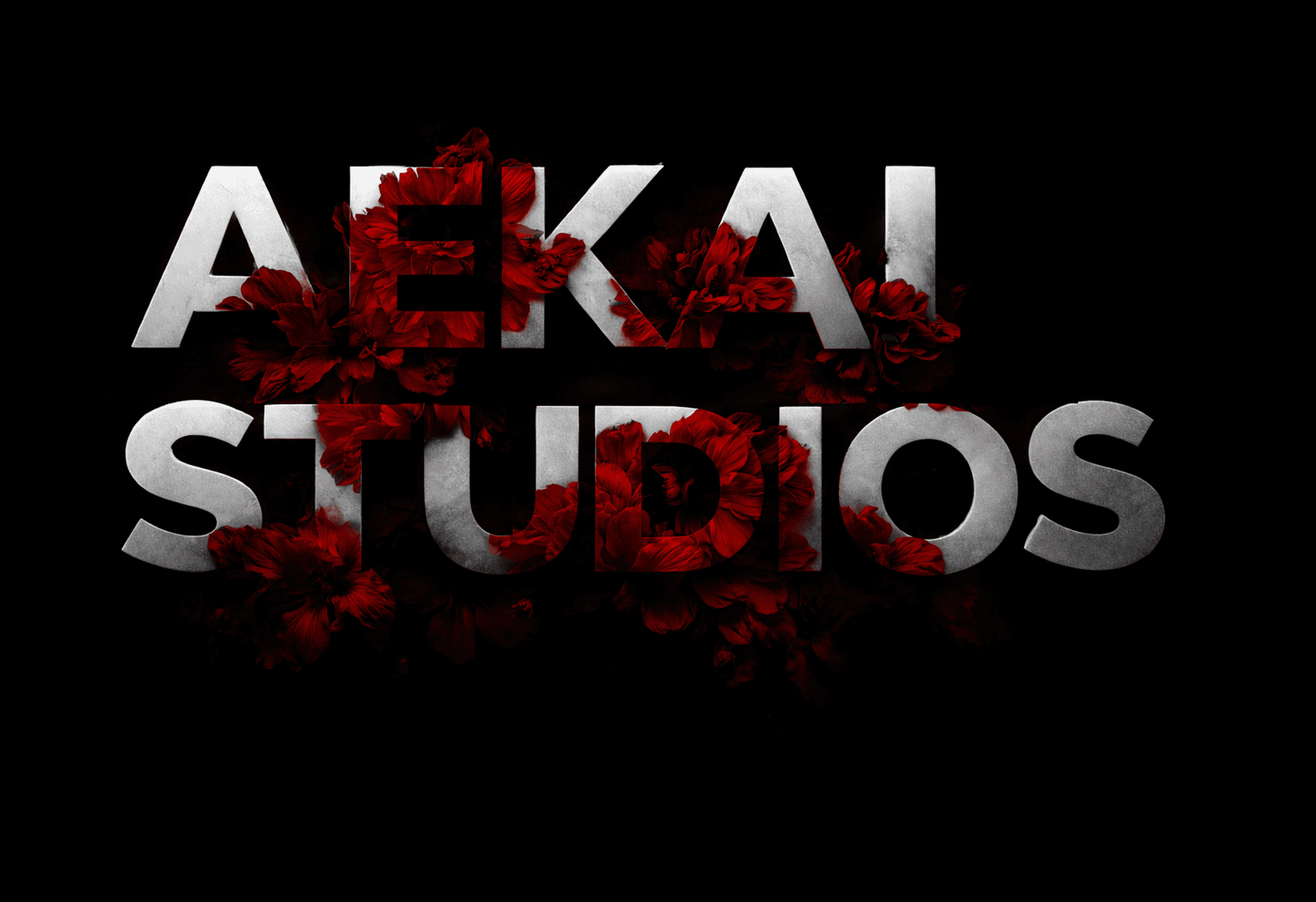 AEKAI STUDIO